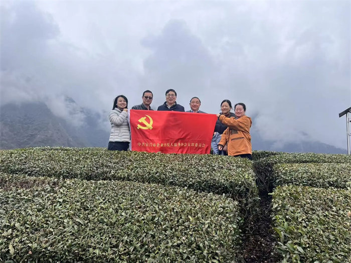 协会党支部深入茶乡开展助农活动